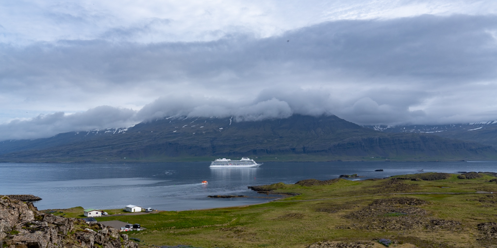 Photography by Chris Allington